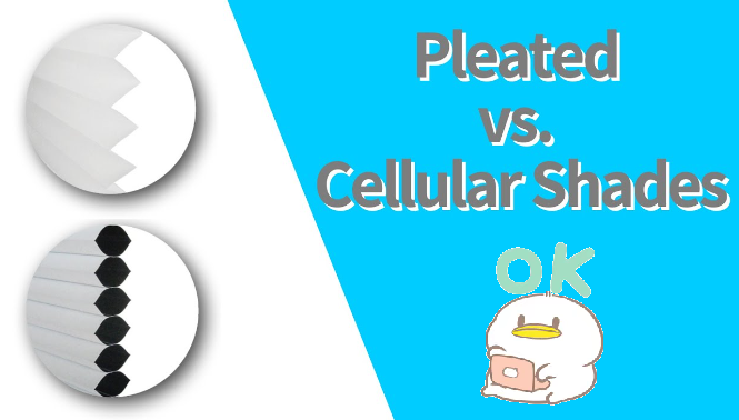 Stores plissés vs stores cellulaires